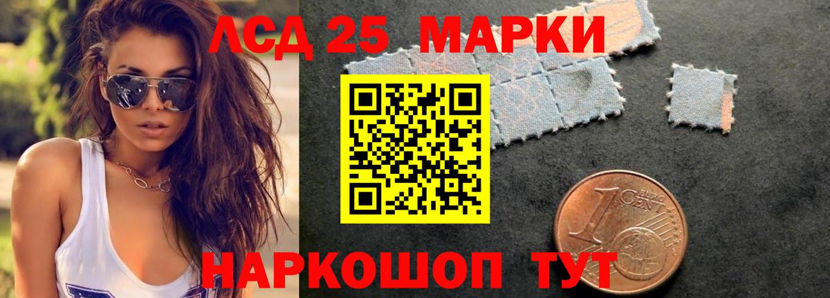 Псилоцибиновые грибы Бердск
