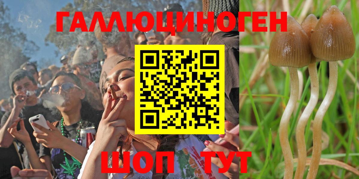Бердск  Псилоцибиновые грибы MAGIC MUSHROOMS  Вход с VPN 