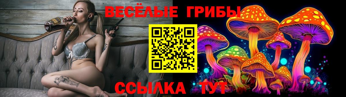 Псилоцибиновые грибы GOLDEN TEACHER Бердск
